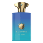 Amouage Figment Man EDP