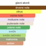 French Avenue Aether Extrait - Image 2